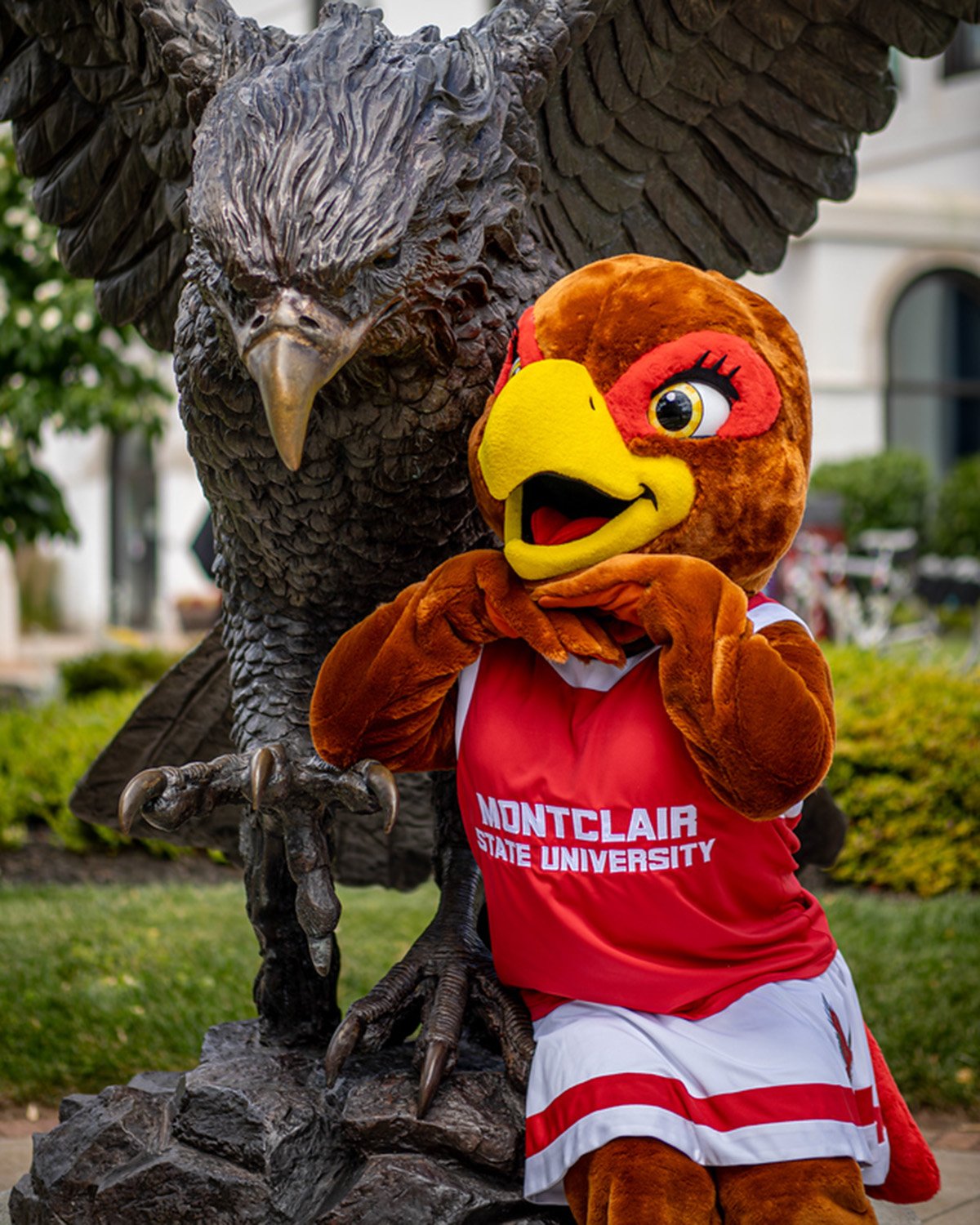 roxy the red hawk mascot 