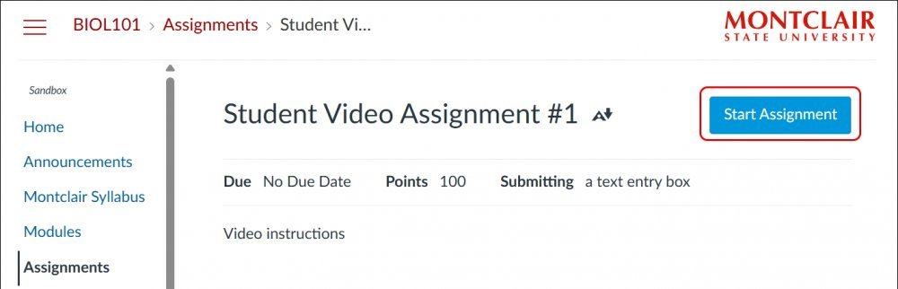Start assignment in Canvas