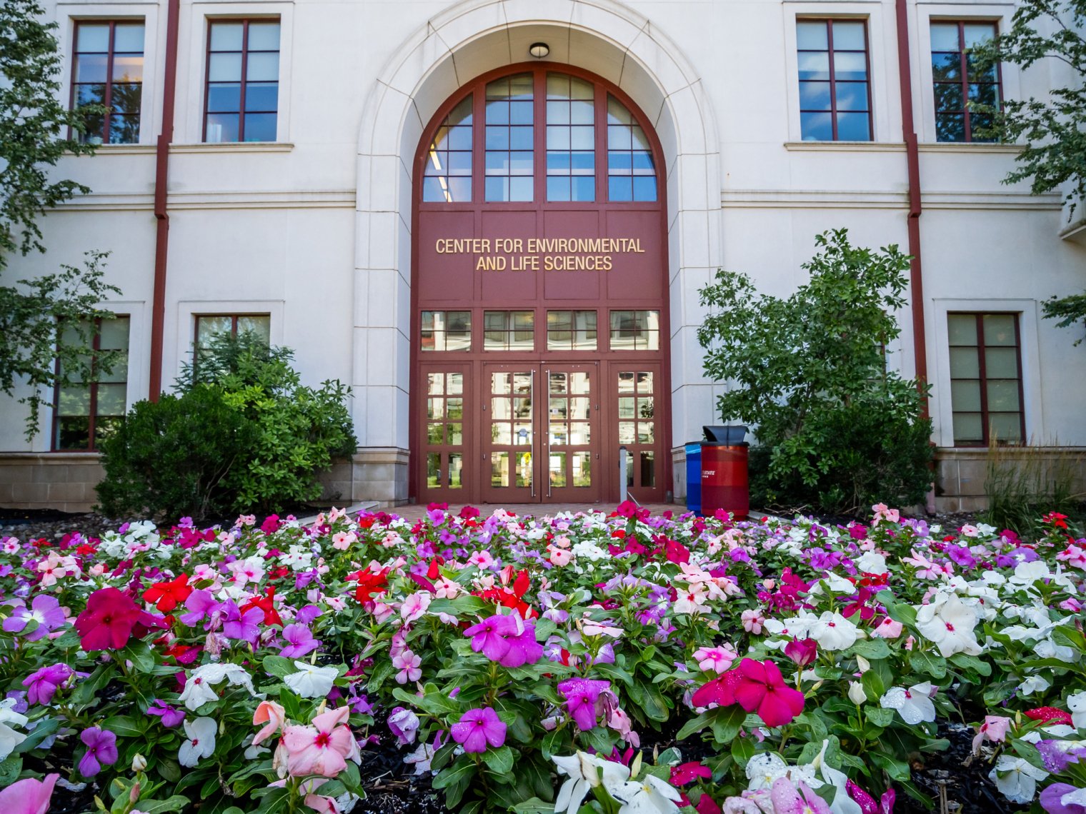 MSU CELS Building