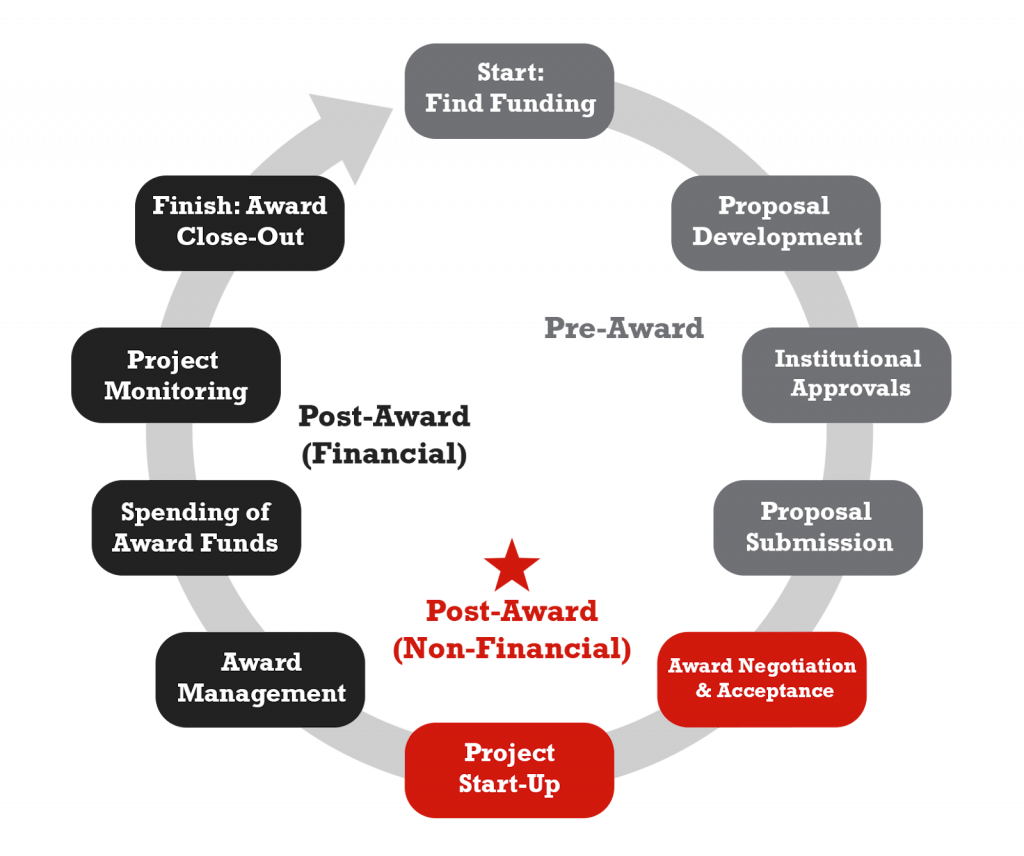 grant lifecycle highlighting the steps for non-financial post-award