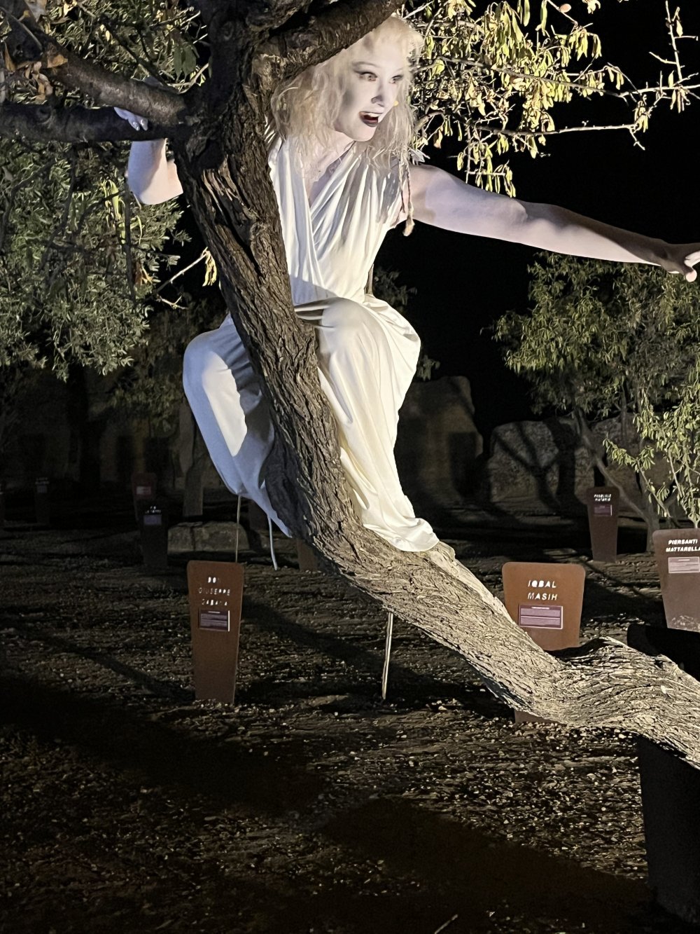 A woman wearing an ancient Greek costume performs on stage