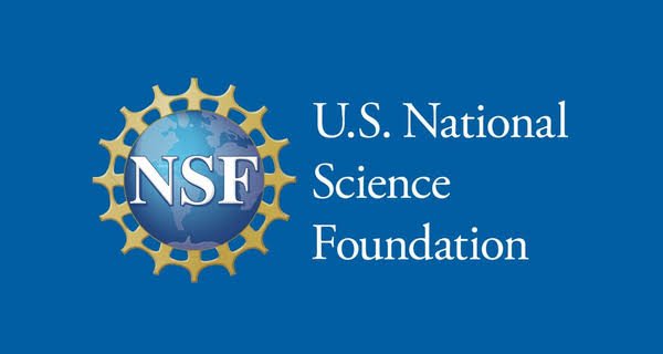 NSF Logo in Blue