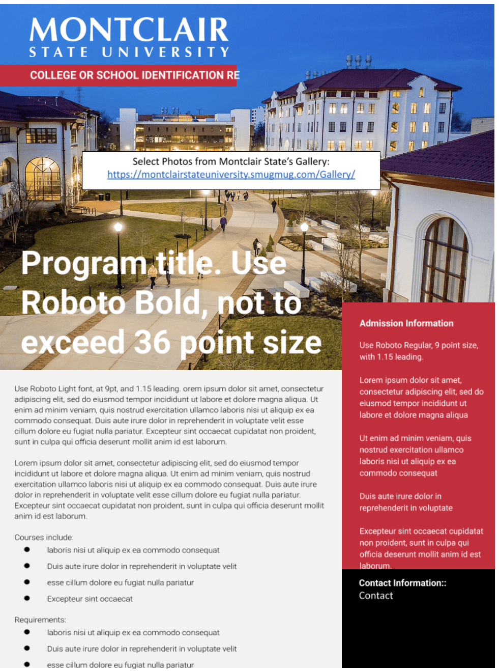 Vertical Program Flyer for MSU example.