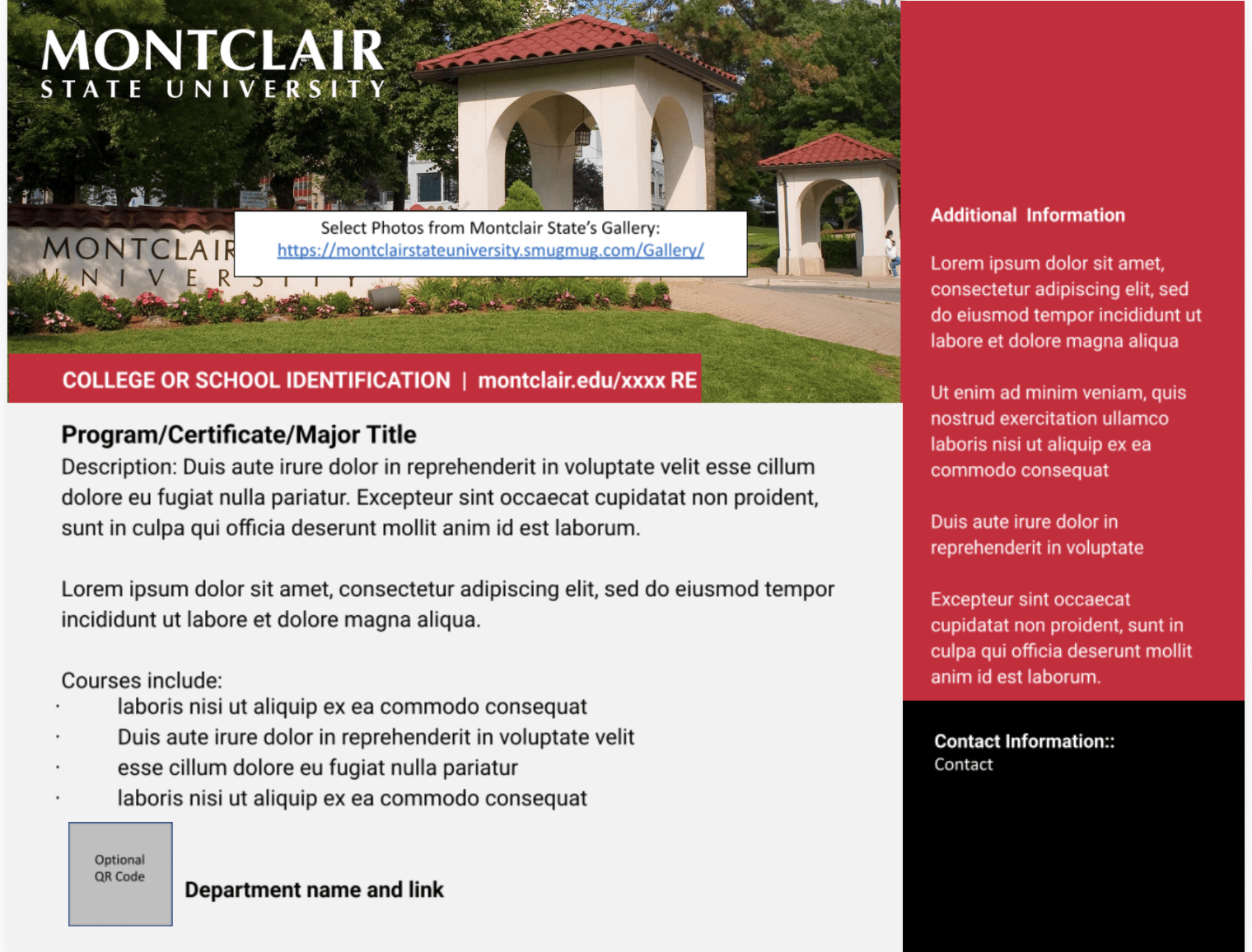 Horizontal Program Flyer MSU example.