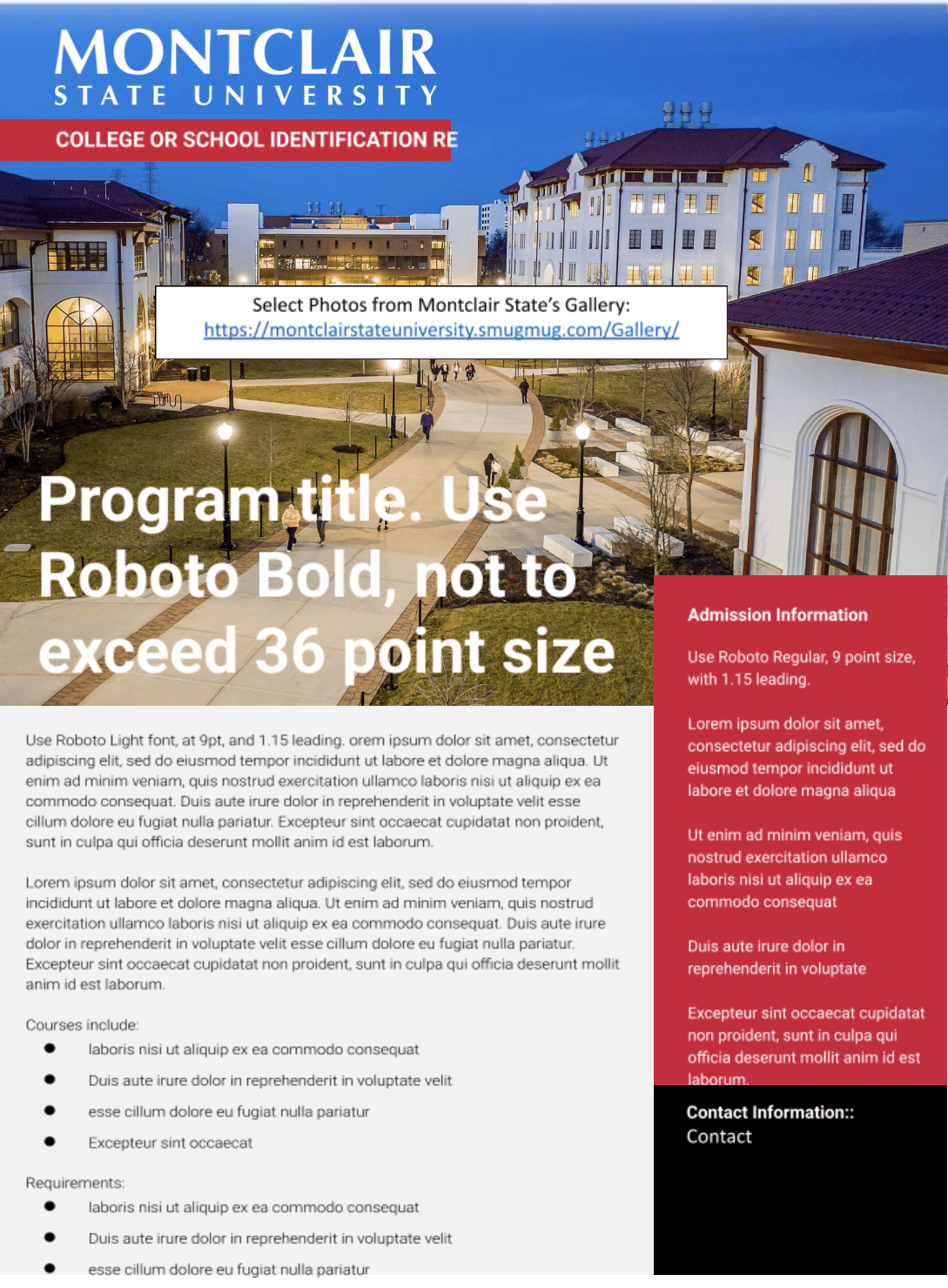 Vertical Event Flyer MSU example.