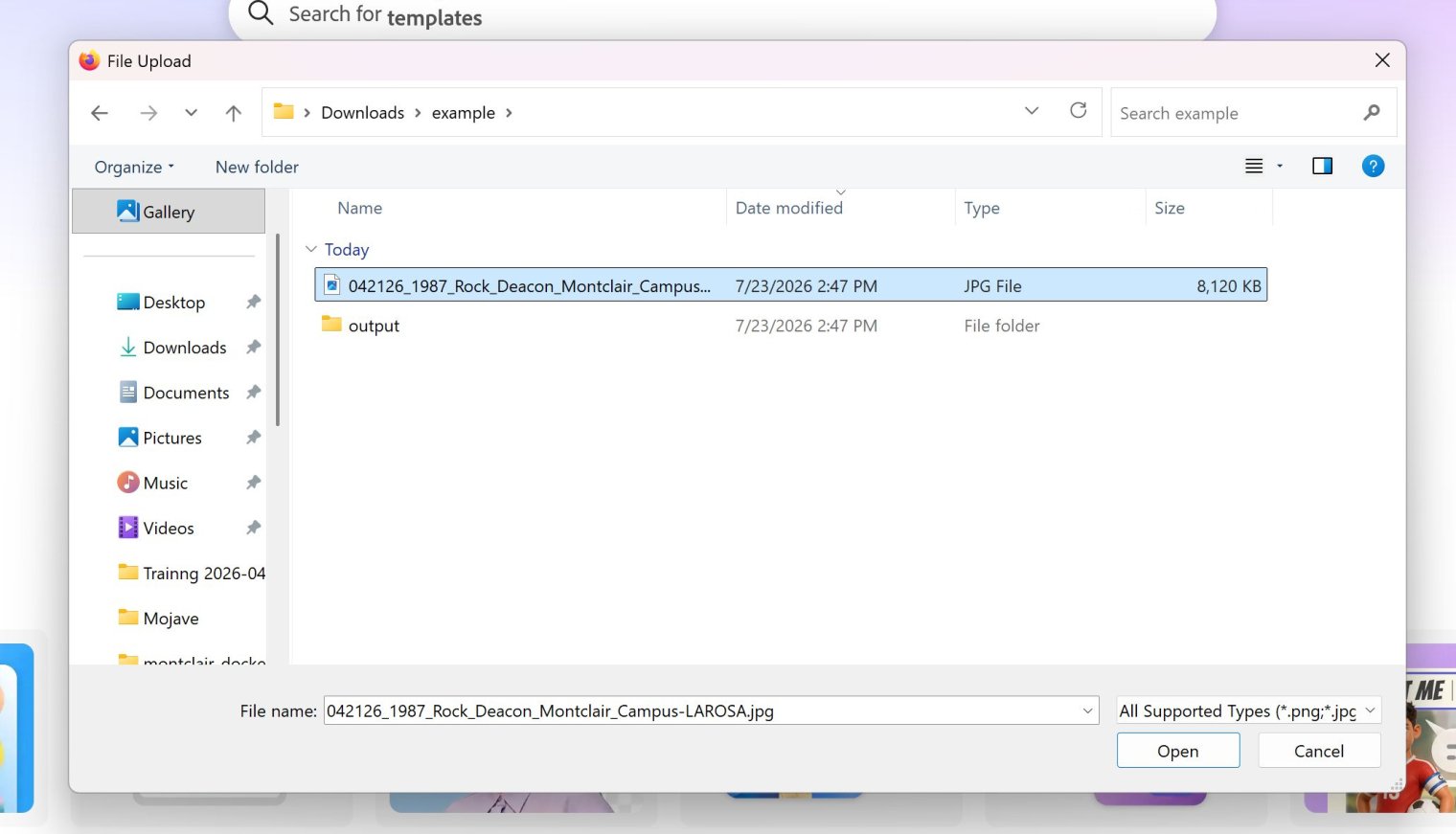 Screenshot of Windows "Open File" Dialog