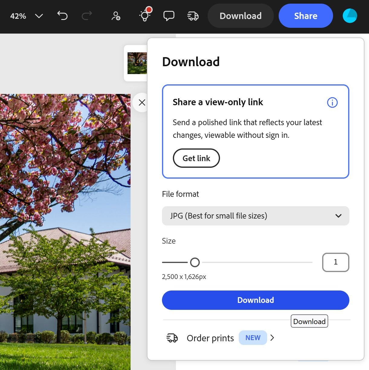 Screenshot of Adobe Express