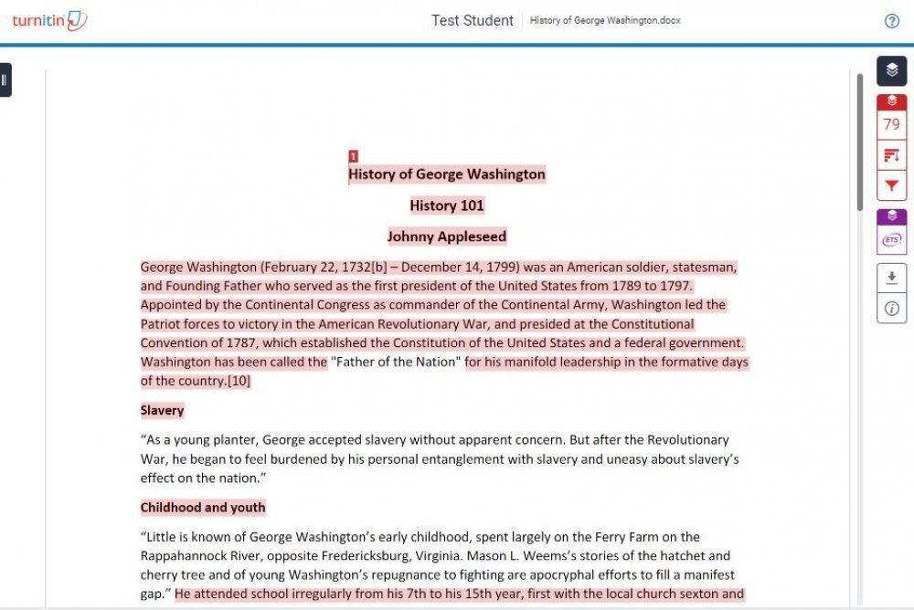 Turnitin feedback studio displaying assignment with annotations