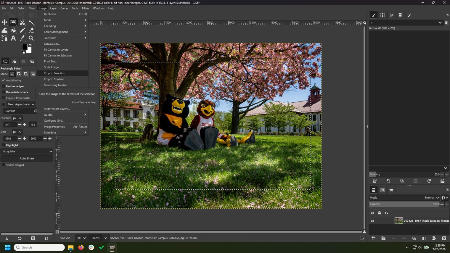 Screenshot of GIMP