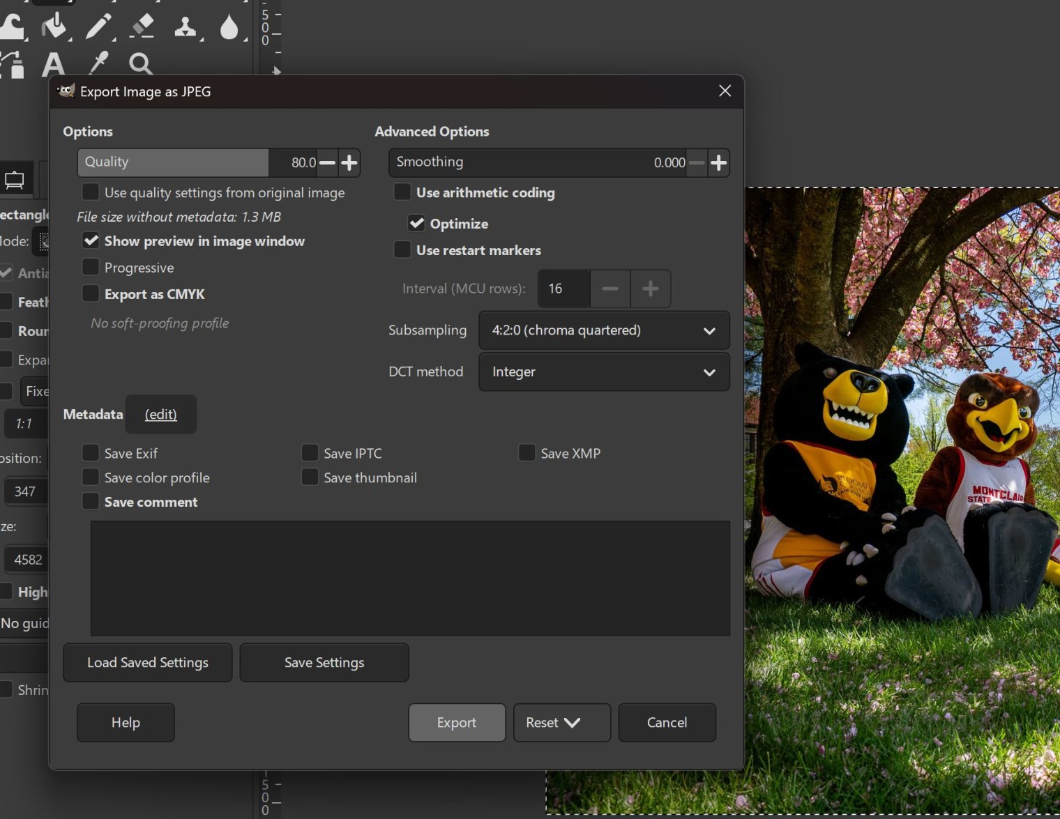 Screenshot of GIMP