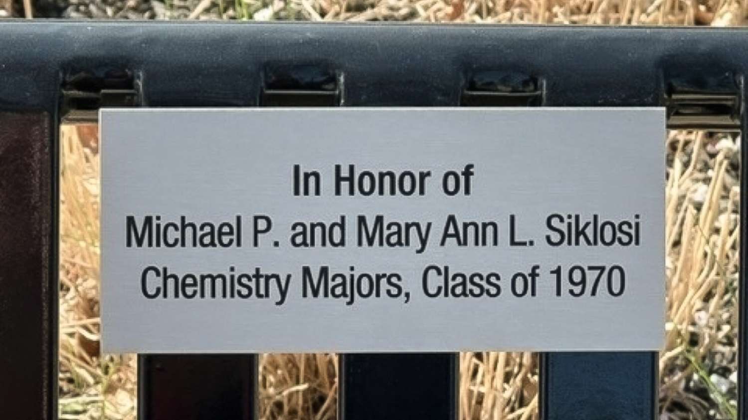 Mary Ann (Leonard) ’70 and Michael ’70 Siklosi