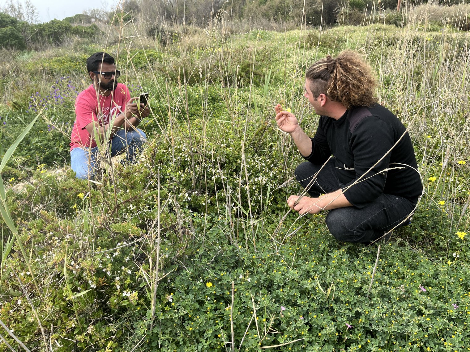 Two people kneel in a grassy area and take photos on their phones
