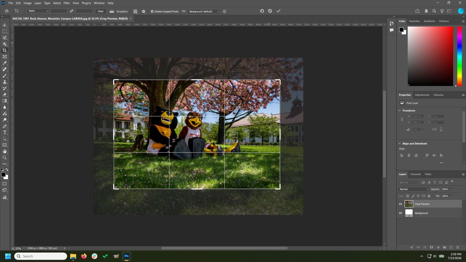 Screenshot of Adobe Photoshop CC