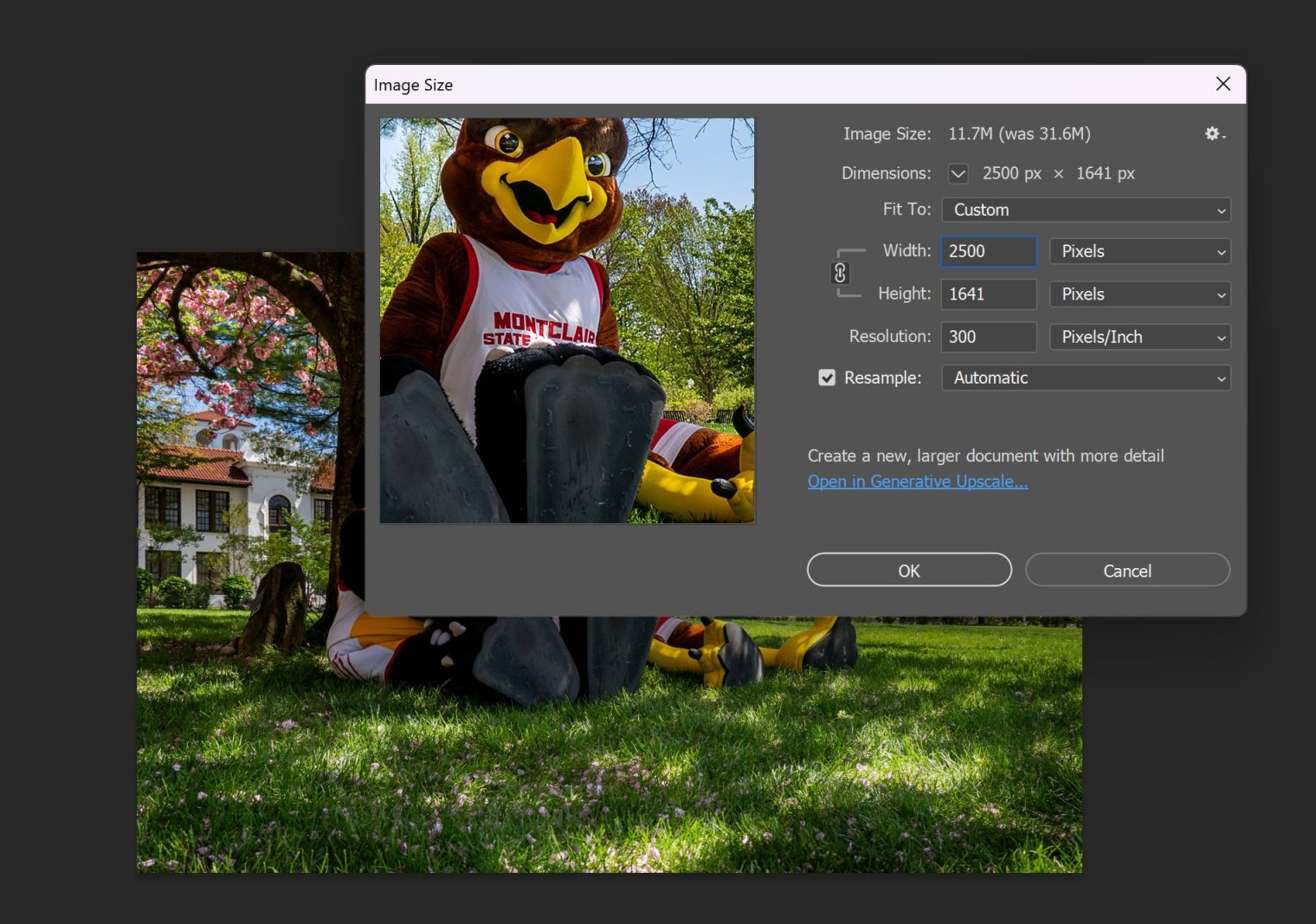 Screenshot of Adobe Photoshop CC