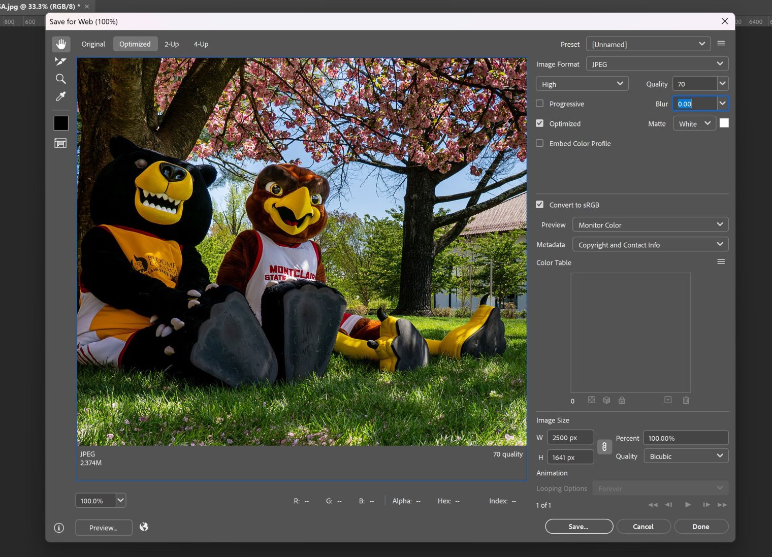 Screenshot of Adobe Photoshop CC