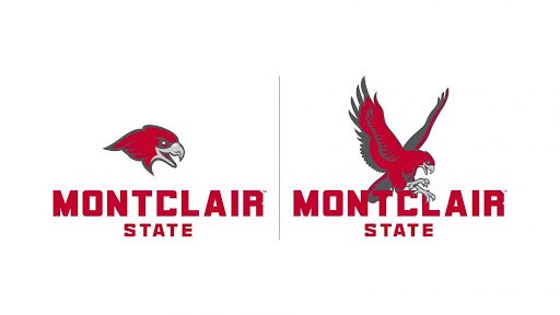 Both the head-only and full-body hawk logos with type