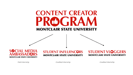 Image of the options as a Content Creator Program.