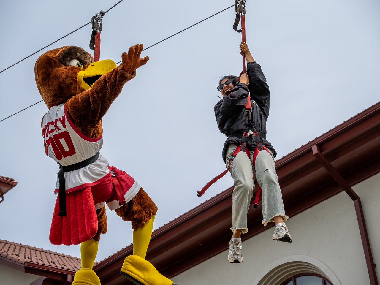 Rocky the Red Hawk mascot on a zipline