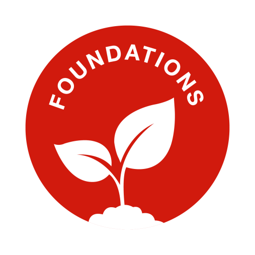 Creative mark for SEEDS Curriculum Foundations pathway.