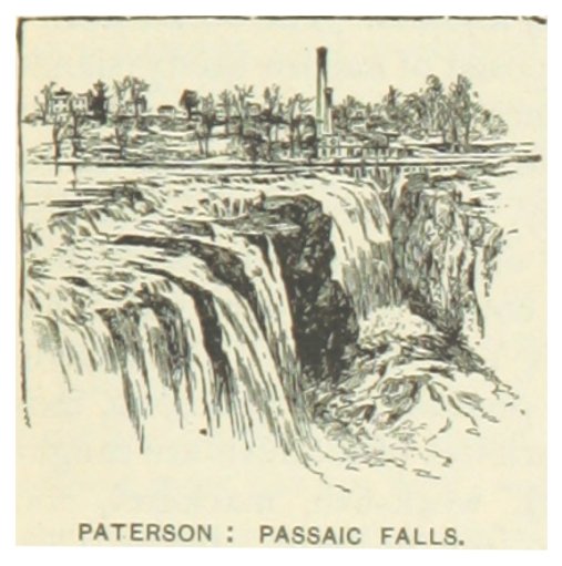 Illustration of Paterson Great Falls