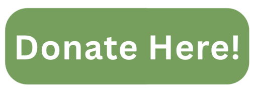 Donate Button