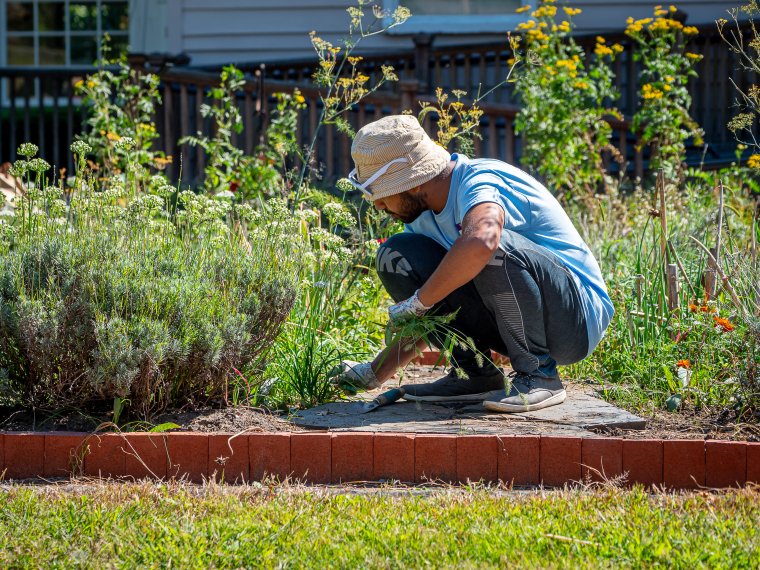 student volunteering at montclair community farms