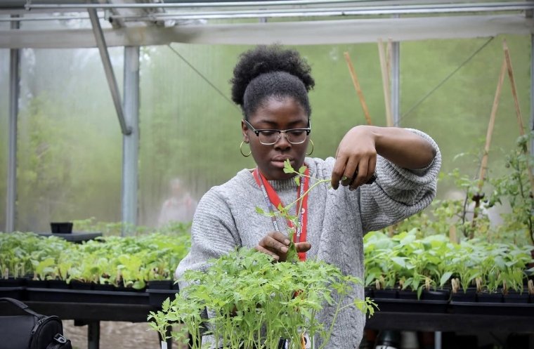 Photo of student in grey sweater helping out at the Montclair community farms green house